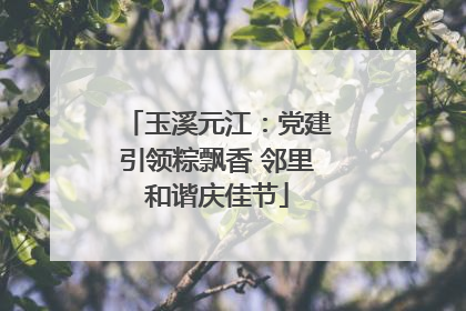 玉溪元江：党建引领粽飘香 邻里和谐庆佳节