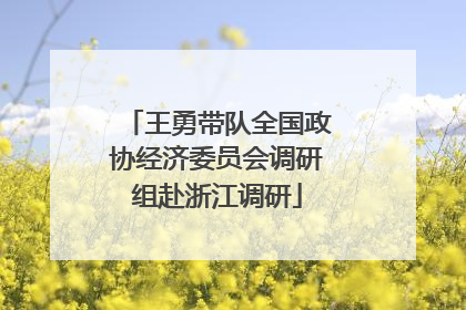 王勇带队全国政协经济委员会调研组赴浙江调研