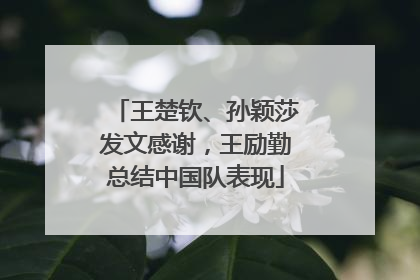 王楚钦、孙颖莎发文感谢，王励勤总结中国队表现
