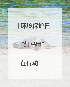 环境保护日 “红马甲”在行动