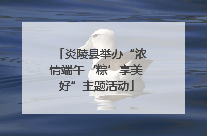 炎陵县举办“浓情端午‘粽’享美好”主题活动