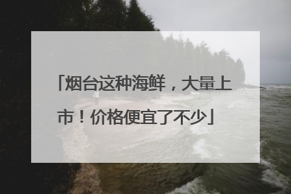 烟台这种海鲜，大量上市！价格便宜了不少