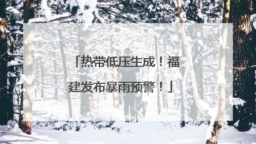 热带低压生成！福建发布暴雨预警！