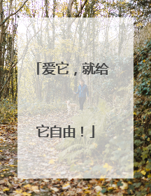 爱它，就给它自由！