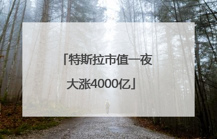 特斯拉市值一夜大涨4000亿