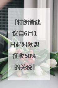 特朗普建议自6月1日起对欧盟征收50%的关税