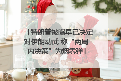 特朗普被曝早已决定对伊朗动武 称“两周内决策”为烟雾弹