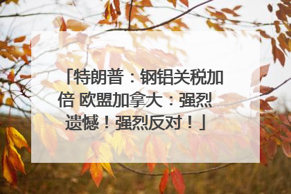 特朗普：钢铝关税加倍 欧盟加拿大：强烈遗憾！强烈反对！