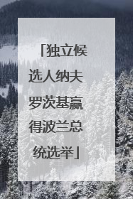 独立候选人纳夫罗茨基赢得波兰总统选举