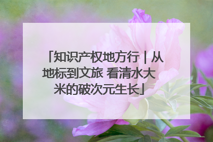 知识产权地方行｜从地标到文旅 看清水大米的破次元生长