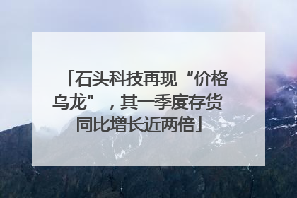 石头科技再现“价格乌龙”，其一季度存货同比增长近两倍