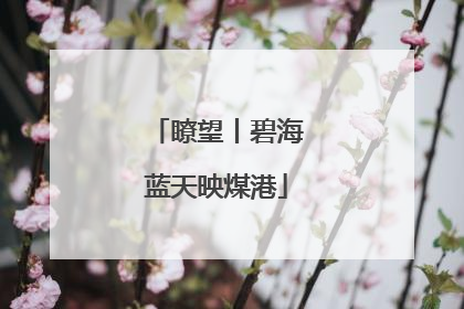 瞭望丨碧海蓝天映煤港