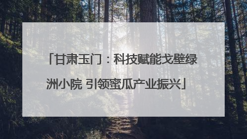 甘肃玉门：科技赋能戈壁绿洲小院 引领蜜瓜产业振兴