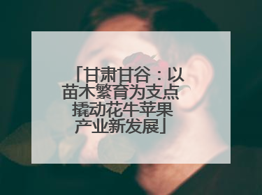 甘肃甘谷：以苗木繁育为支点 撬动花牛苹果产业新发展