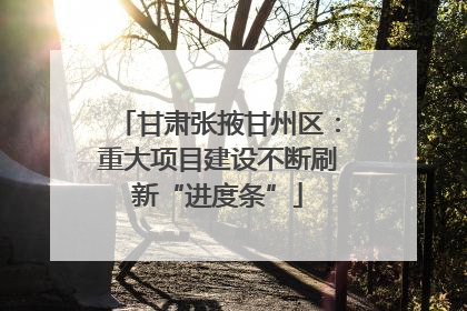 甘肃张掖甘州区：重大项目建设不断刷新“进度条”