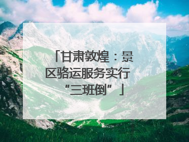 甘肃敦煌：景区骆运服务实行“三班倒”
