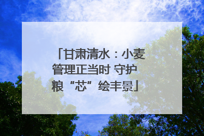 甘肃清水：小麦管理正当时 守护粮“芯”绘丰景