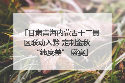 甘肃青海内蒙古十二景区联动入黔 定制金秋 “纬度差” 盛宴
