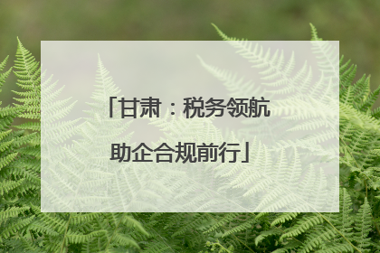 甘肃：税务领航 助企合规前行