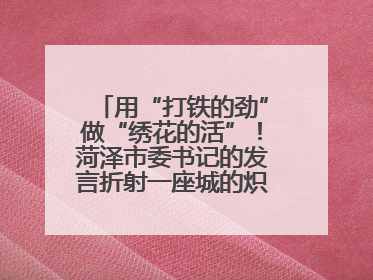 用“打铁的劲”做“绣花的活”！菏泽市委书记的发言折射一座城的炽热情怀
