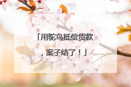 用鸵鸟抵偿货款，案子结了！