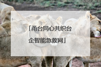 甬台同心共织台企智能急救网