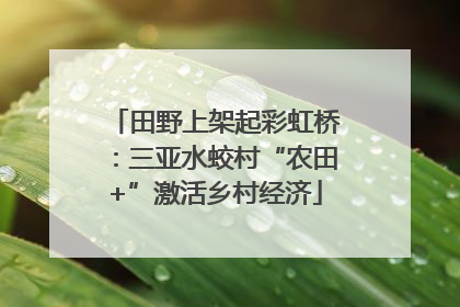 田野上架起彩虹桥：三亚水蛟村“农田+”激活乡村经济