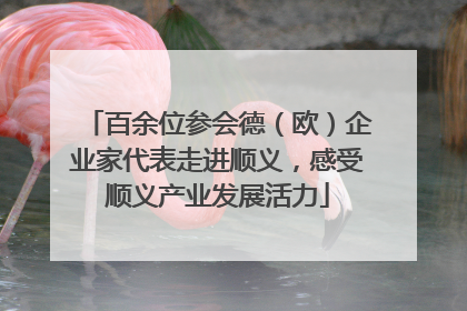 百余位参会德（欧）企业家代表走进顺义，感受顺义产业发展活力