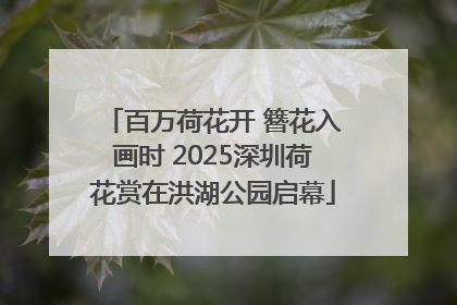 百万荷花开 簪花入画时 2025深圳荷花赏在洪湖公园启幕