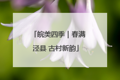 皖美四季｜春满泾县 古村新韵