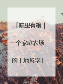 皖里有粮｜一个家庭农场的土地哲学