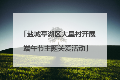 盐城亭湖区大星村开展端午节主题关爱活动