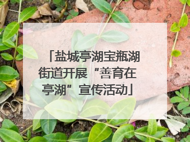 盐城亭湖宝瓶湖街道开展“善育在亭湖”宣传活动