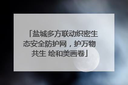 盐城多方联动织密生态安全防护网，护万物共生 绘和美画卷