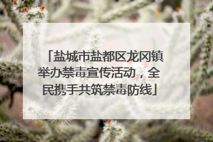 盐城市盐都区龙冈镇举办禁毒宣传活动，全民携手共筑禁毒防线