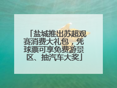 盐城推出苏超观赛消费大礼包，凭球票可享免费游景区、抽汽车大奖
