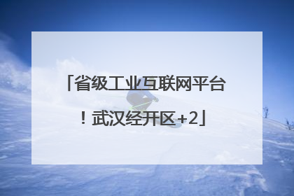 省级工业互联网平台！武汉经开区+2