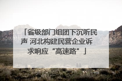 省级部门组团下沉听民声 河北构建民营企业诉求响应“高速路”