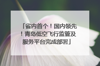 省内首个！国内领先！青岛低空飞行监管及服务平台完成部署