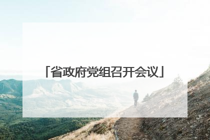 省政府党组召开会议