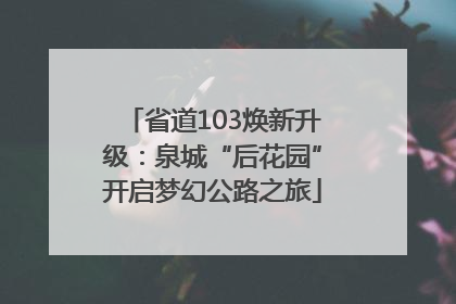 省道103焕新升级：泉城“后花园”开启梦幻公路之旅