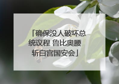 确保没人破坏总统议程 鲁比奥腰斩白宫国安会