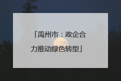 禹州市：政企合力推动绿色转型