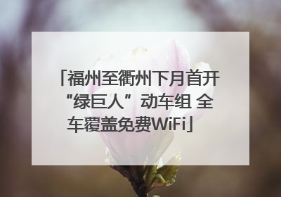 福州至衢州下月首开“绿巨人”动车组 全车覆盖免费WiFi