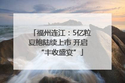 福州连江：5亿粒夏鲍陆续上市 开启“丰收盛宴”