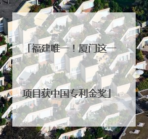 福建唯一！厦门这一项目获中国专利金奖