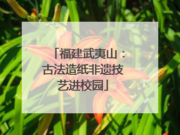福建武夷山：古法造纸非遗技艺进校园