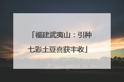 福建武夷山：引种七彩土豆喜获丰收