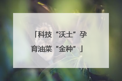 科技“沃土”孕育油菜“金种”