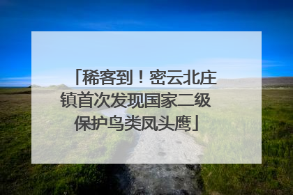 稀客到！密云北庄镇首次发现国家二级保护鸟类凤头鹰
